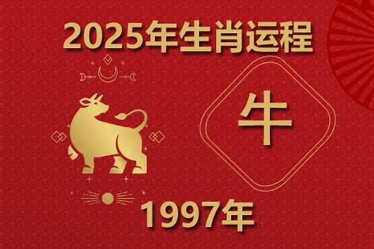 生肖牛1985年2025年运势如何 生肖牛1985年2025年全年运势
