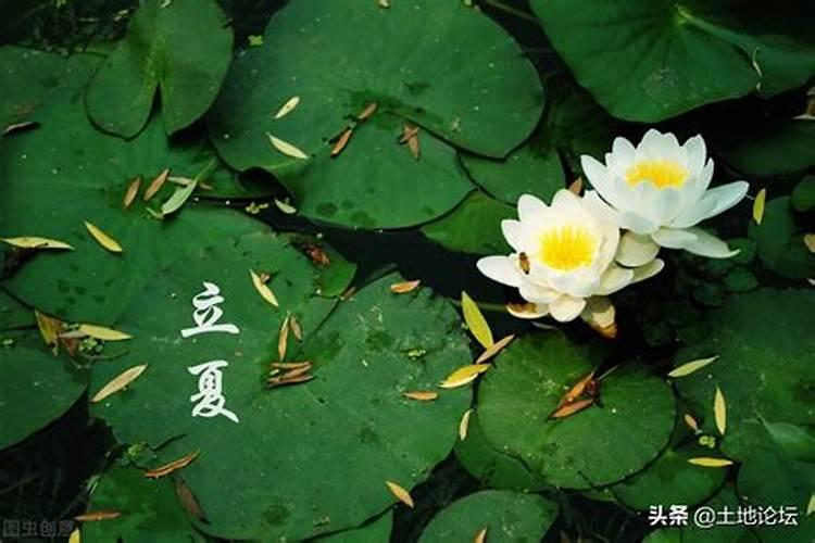 梦到自己大便拉在裤子里什么意思 梦到自己大便拉在裤子里预示着什么...