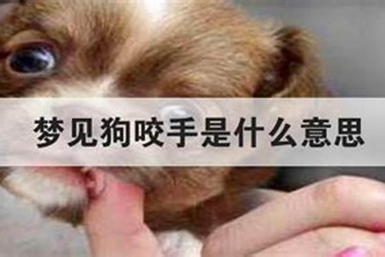 女人梦见狗扑上来咬手