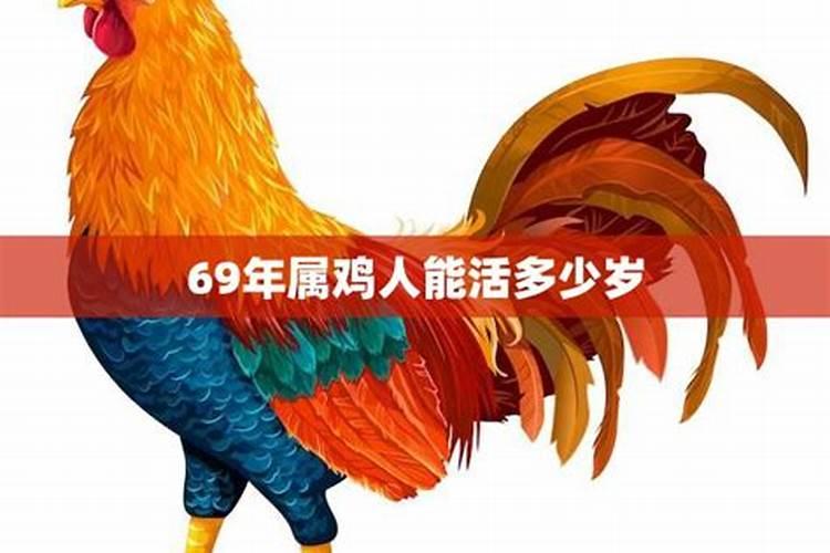 69年属鸡人在2025年的全年运势