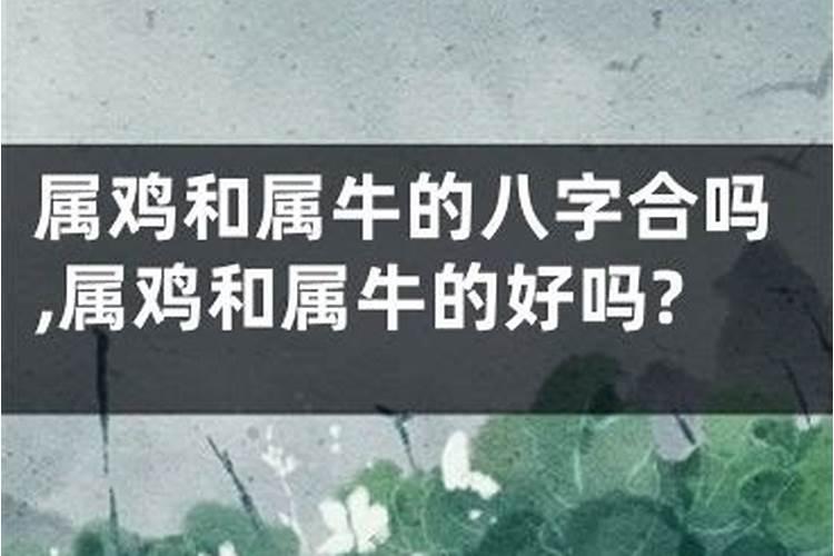 2025年犯太岁属相有哪几个