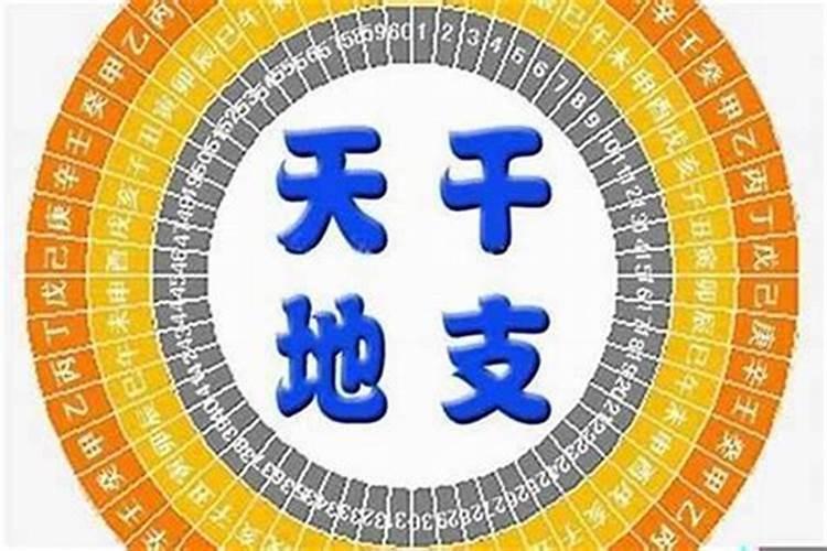 七夕节有什么传统习俗