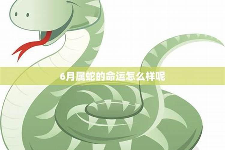 属蛇人2024年6月运程