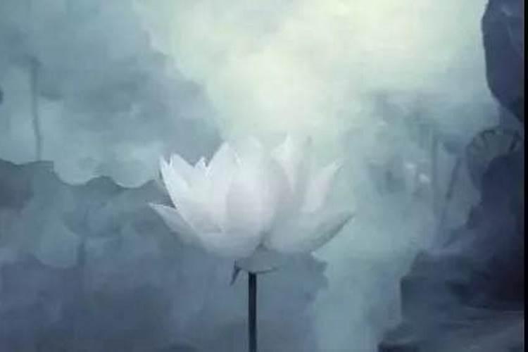 属鸡的和什么属相配婚姻最好