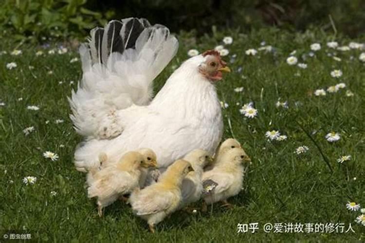 如何经营出过轨的婚姻