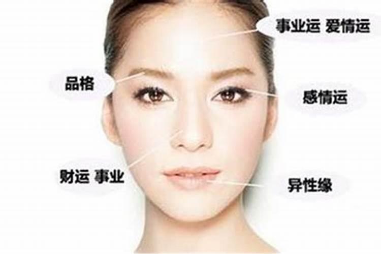 95年属猪人未来三年运势
