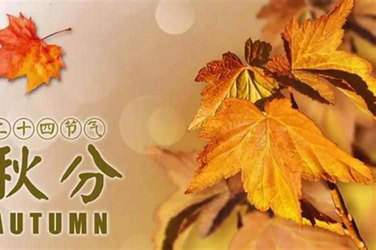 2023年山东允许放烟花吗？