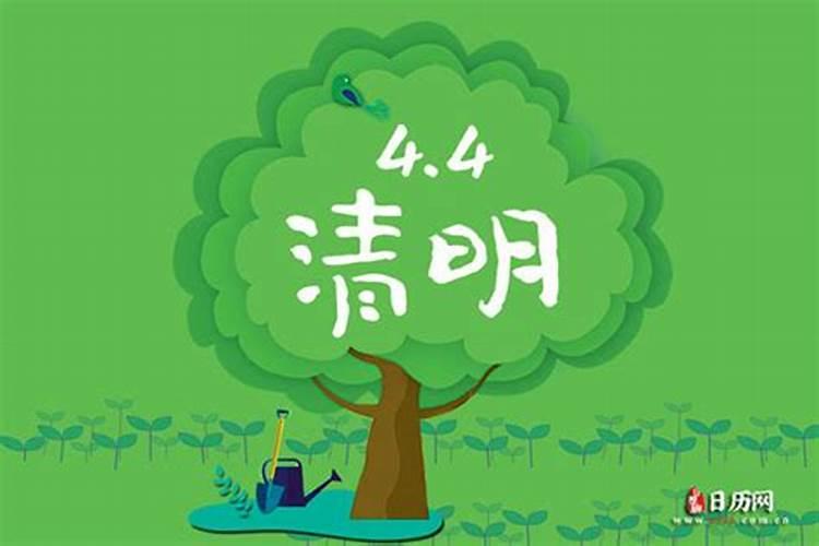 清明节不是不每年的4月5号？