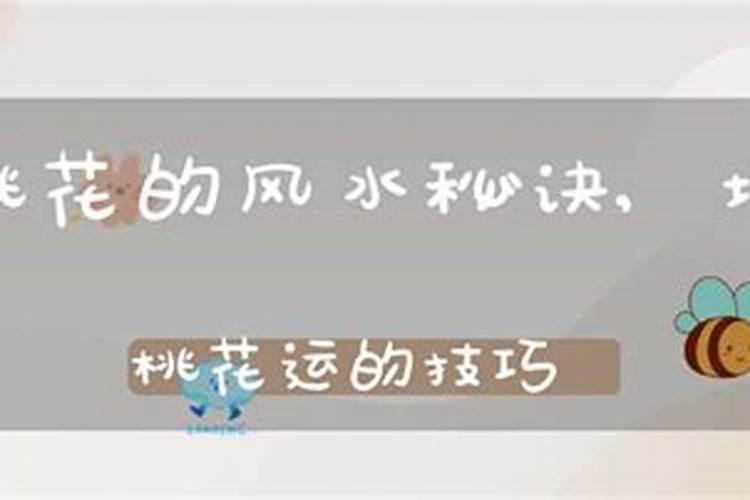 增加桃花运最灵的方法