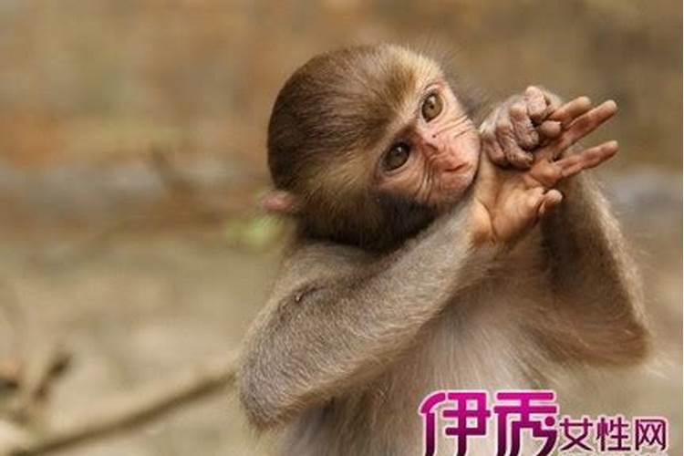 本命年为什么不能结婚有什么讲究