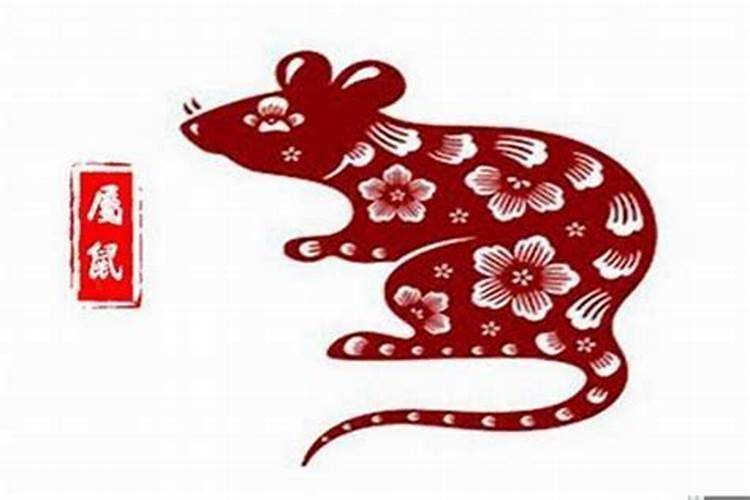 1996年鼠哪年走大运属鼠96年未来哪年起大运