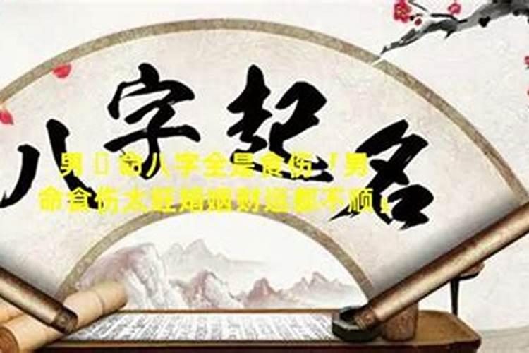 如何从男命八字看婚姻好不好？