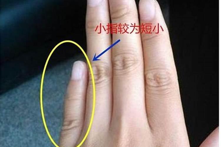 2025年5月20号适合搬家吗