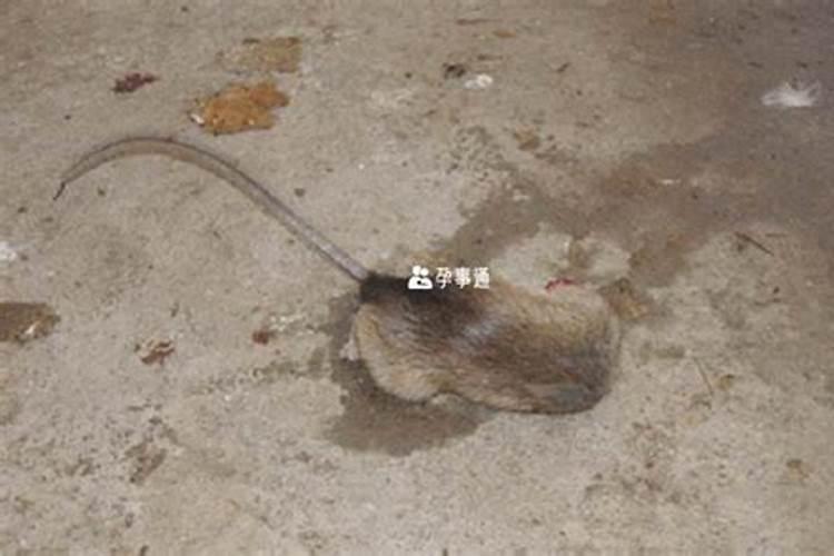 正月十五给神仙上供吗