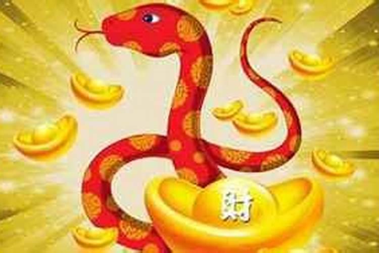 属蛇人今后十年大运