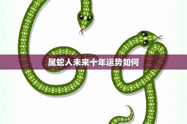 77年属蛇女在未来十年运势如何？