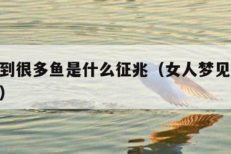 周公解梦梦到被豹子追预示着什么？