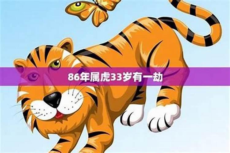 86年虎女有几次婚姻属虎女的一旦离婚怎么样