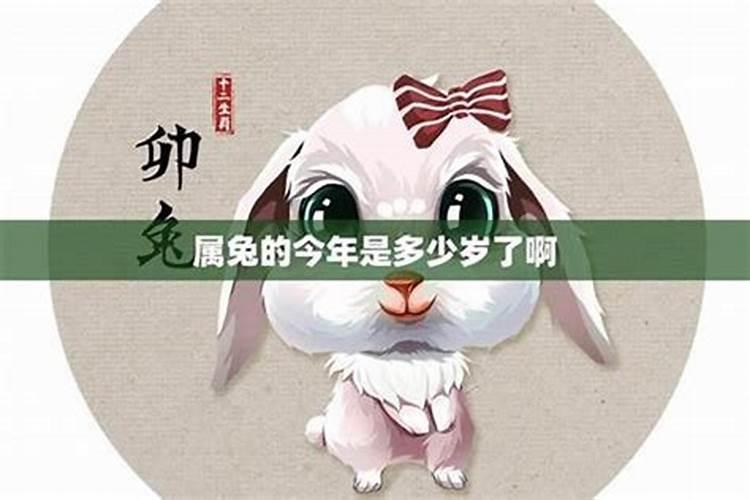 1963年属兔的转折点在哪2024