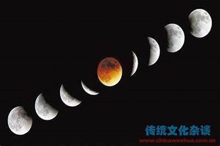 属虎人2025全年运势详解 属虎人2025年每月运势