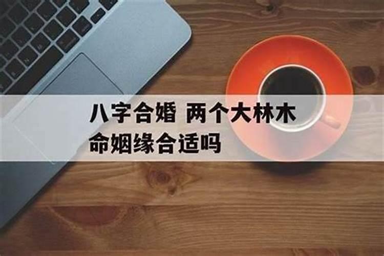 海中金和大林木婚姻相配吗？