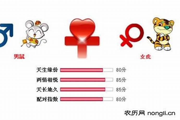 夫妻缘分:属鼠男和属虎女能在一起吗 婚姻好吗