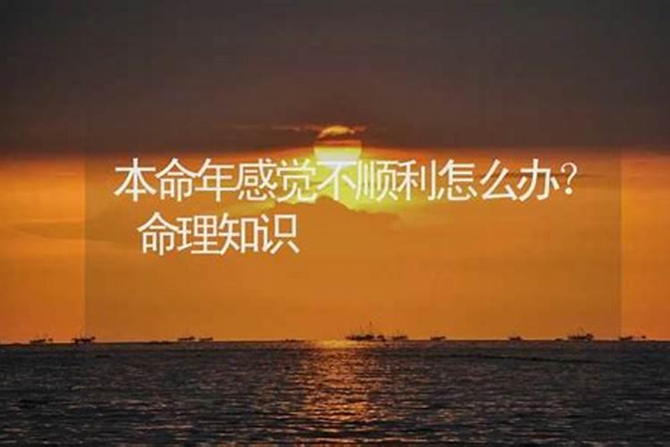 2025属狗的贵人和小人是谁