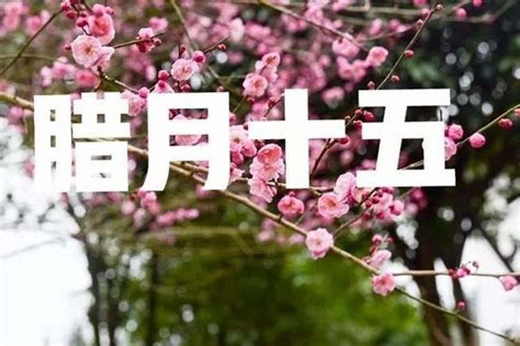 腊月属羊的真是不好吗