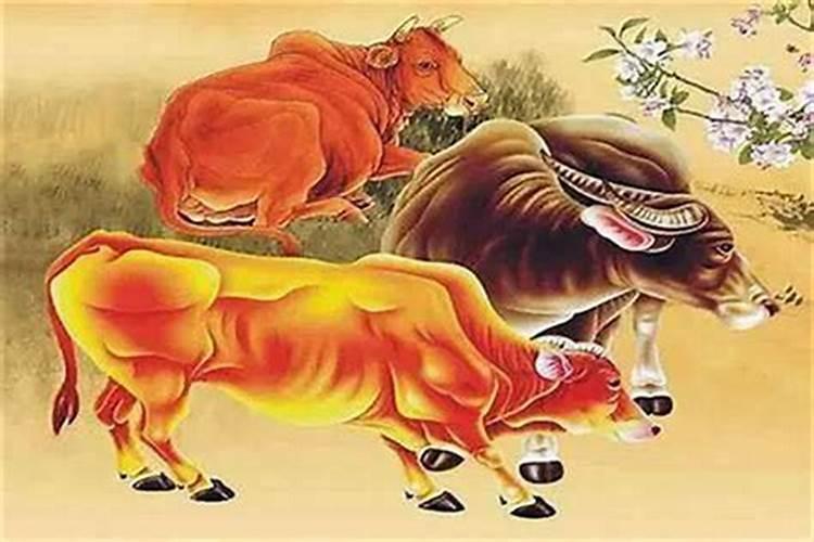 1969年属鸡人在2024年的全年运势