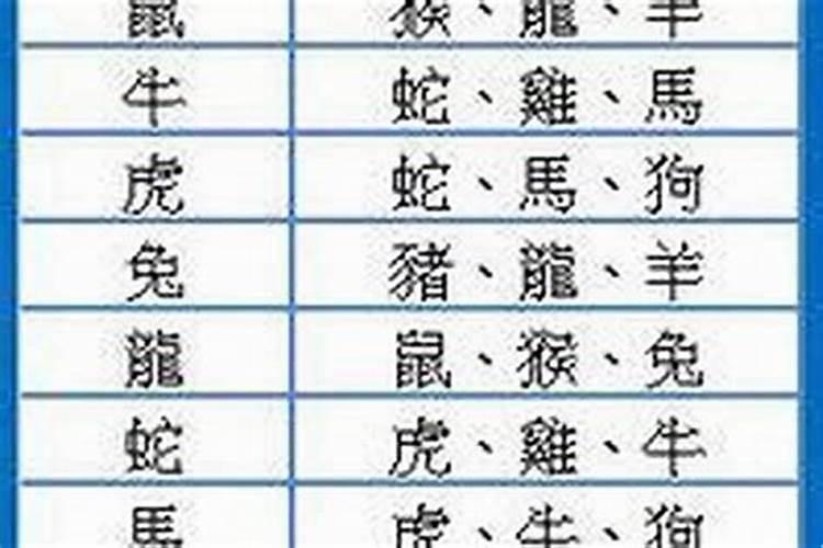 81年属鸡人在2025年的全年运势