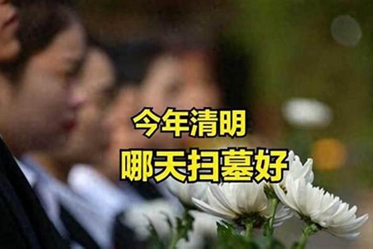 清明哪天扫墓好