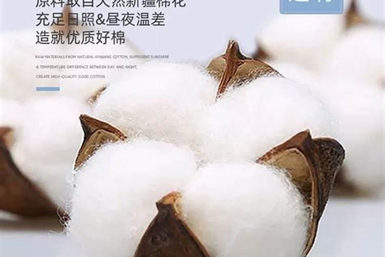 过冬是立冬还是冬至