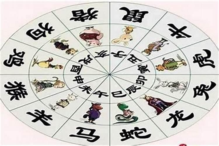 1942年属什么