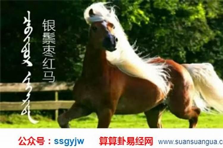 1942年属马的是啥命