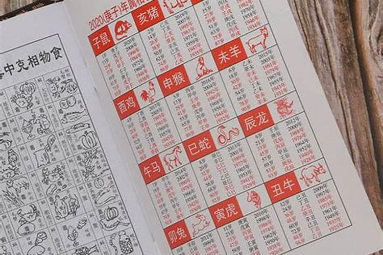 82年的狗2025年运势
