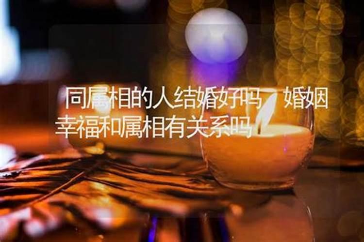用什么化解鼠兔相刑,具体怎么做