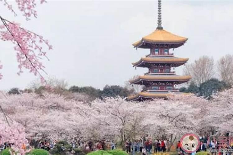 春节来历与习俗