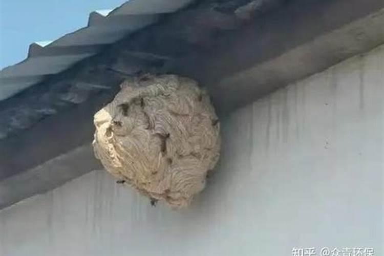 八字无财的男人八字无财的男人却很有钱是什么样子的