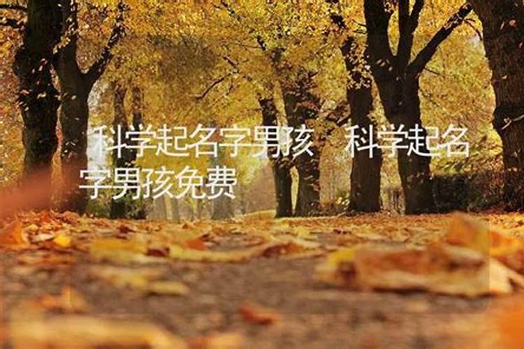 八字中的财库指的是什么？