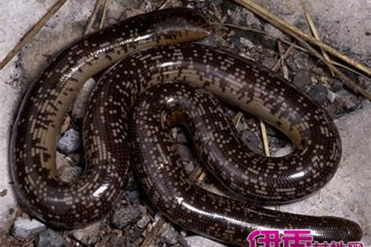 新房什么时候才算是入伙