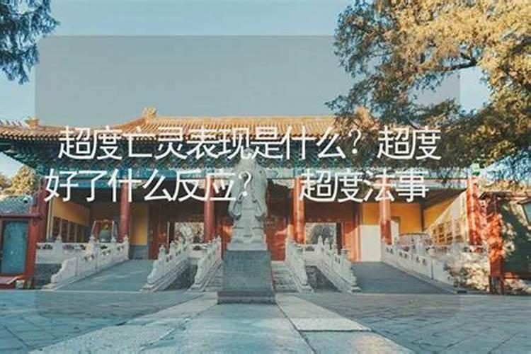 2024立夏是几月几日几点几分 今年立夏是哪一天