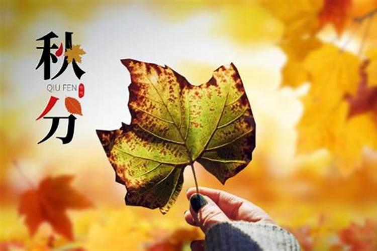 7月15鬼节的由来 7月15日鬼节出生的人好不好
