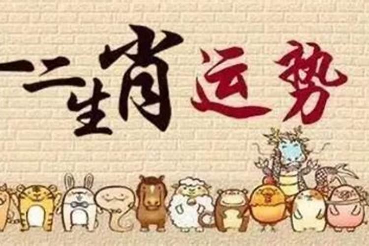 十二生肖属鸡的运势