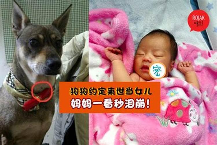 打掉的孩子会再投胎吗,去世的儿子会不会再次投胎回来
