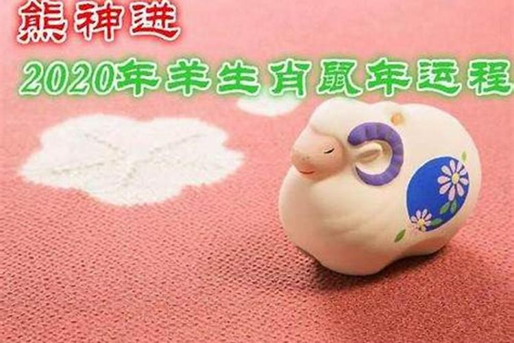 属羊人今后十年大运