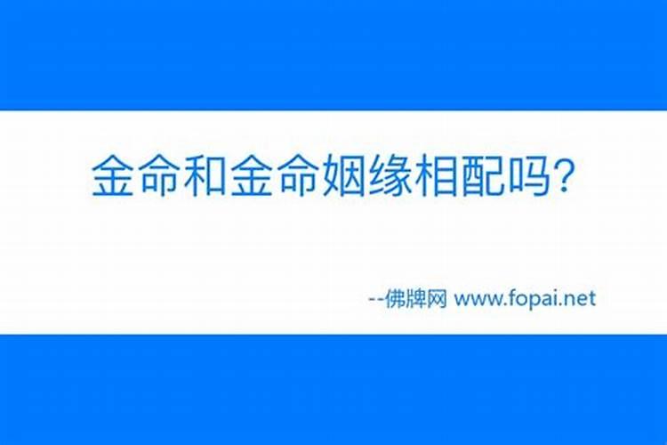 金命和金命姻缘相配吗而且是同一个属相