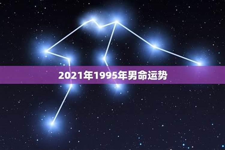 95年猪男2025的婚姻和事业运势