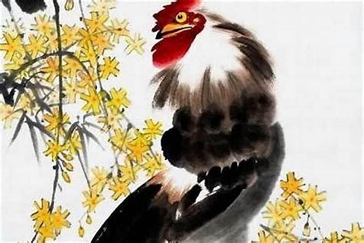 农历五月出生的属鸡运势如何