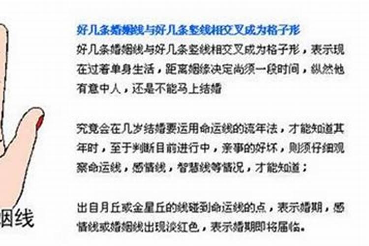 看手相算婚姻感情
