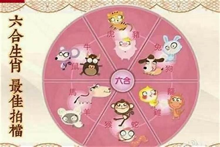 九1年羊男可以和87年兔女结婚吗？